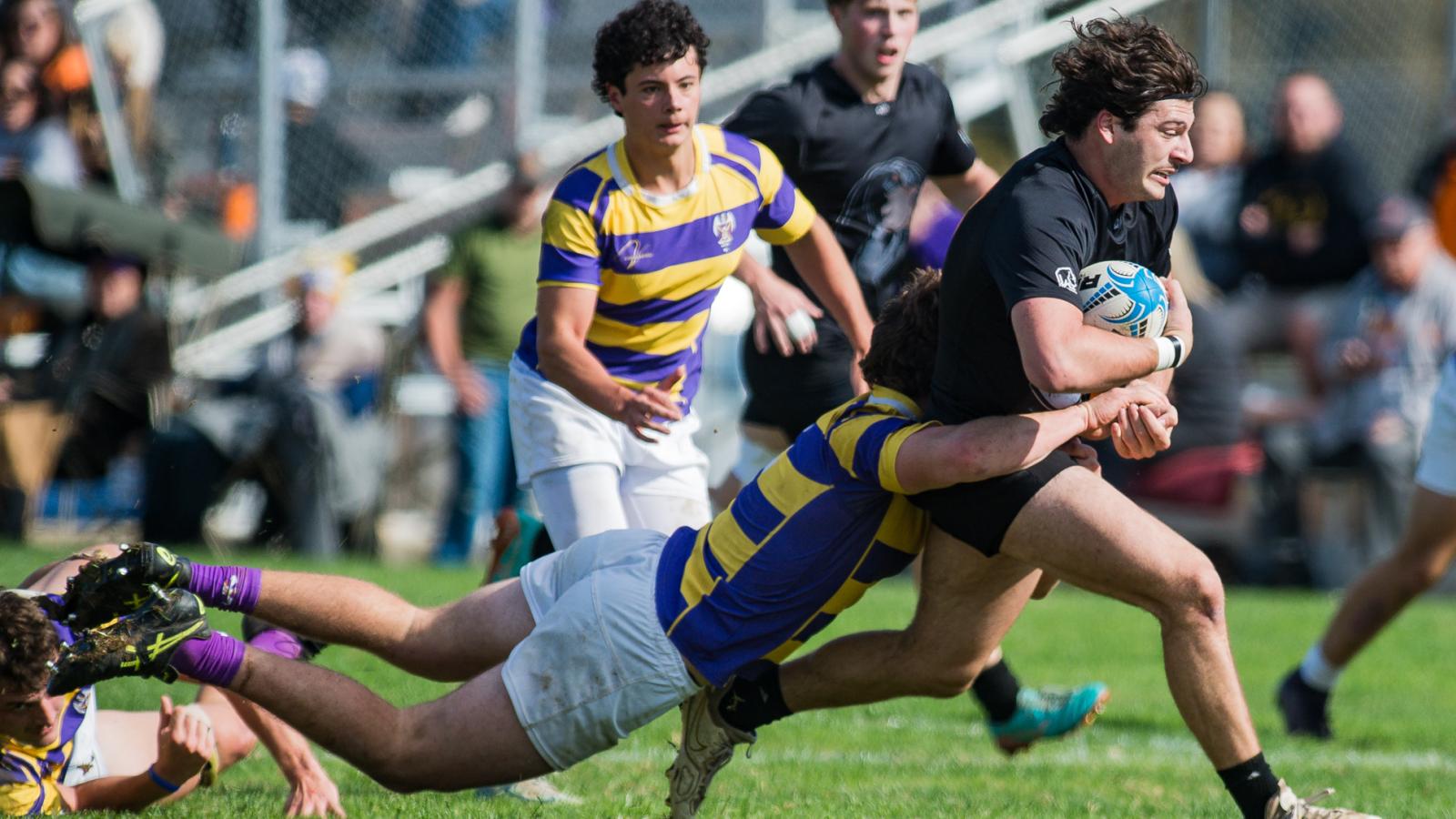 Tennessee vs LSU November 1, 2025. Photo Will Fagan.