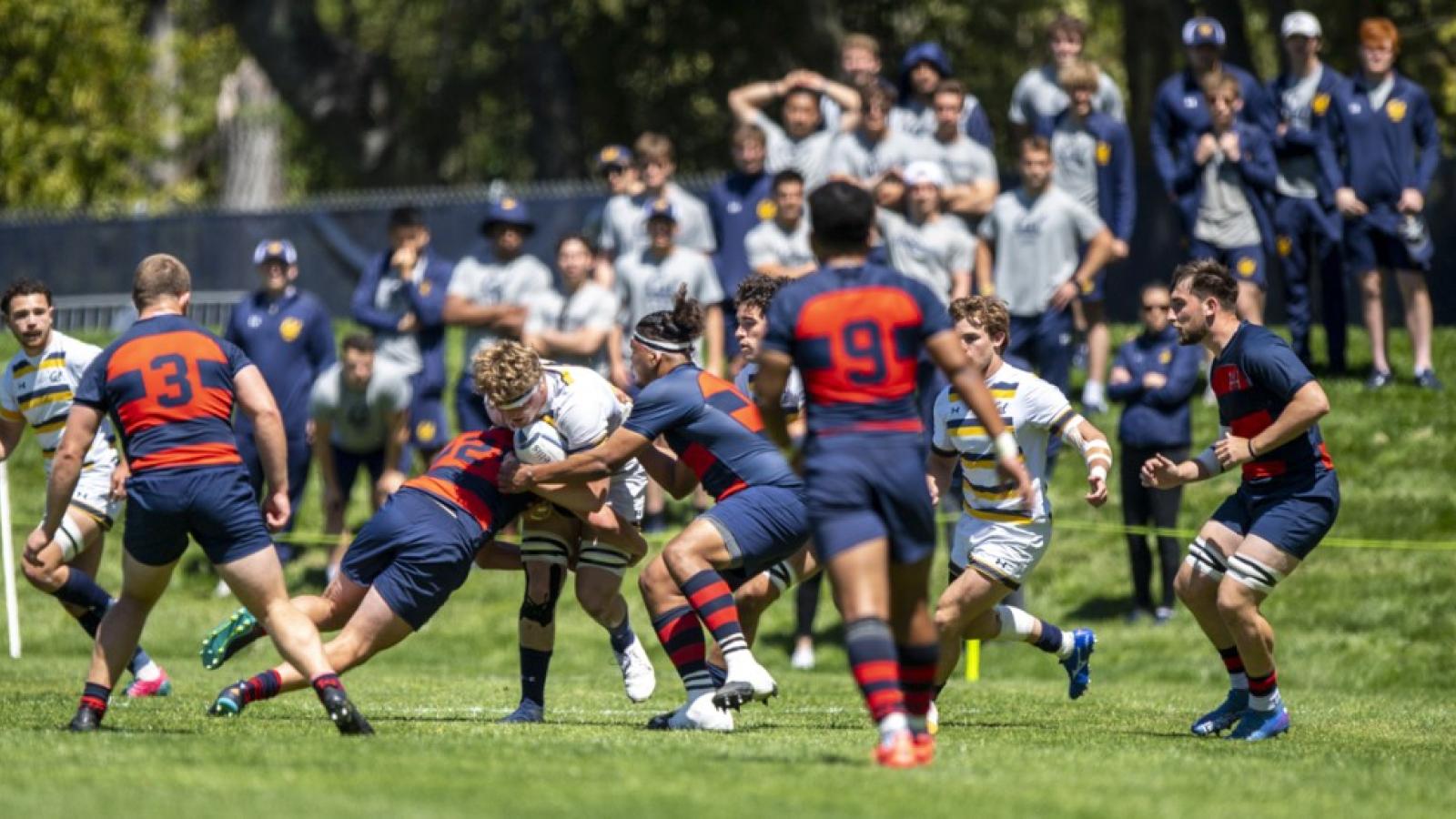 230415 d1a quarter final barpal 0054