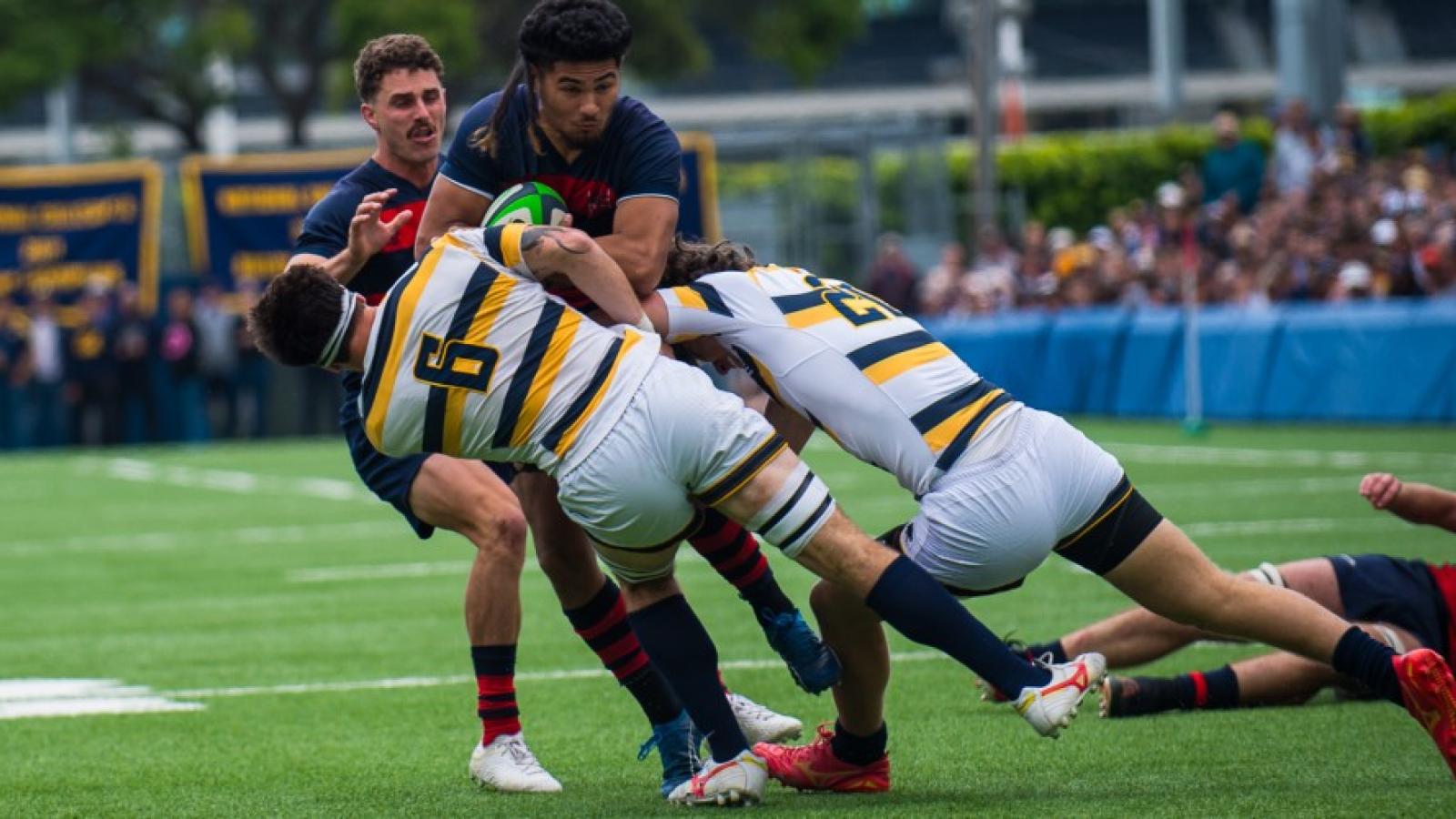 250419 smc at cal barpal 0648