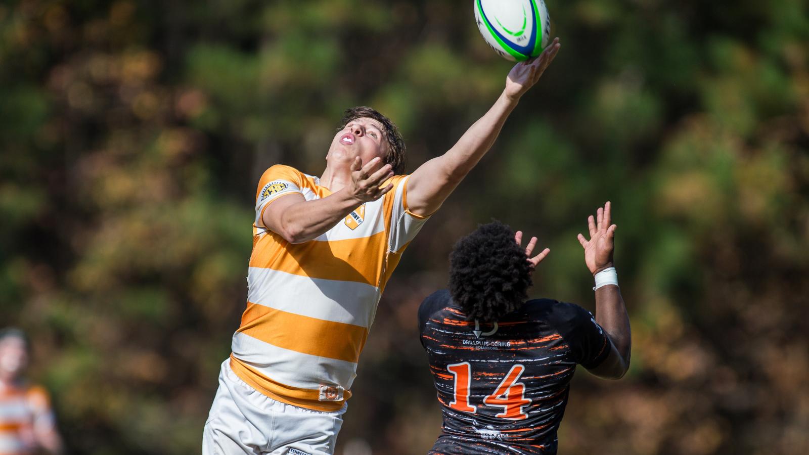Tennessee vs Sam Houston State. Photos Will Fagan.
