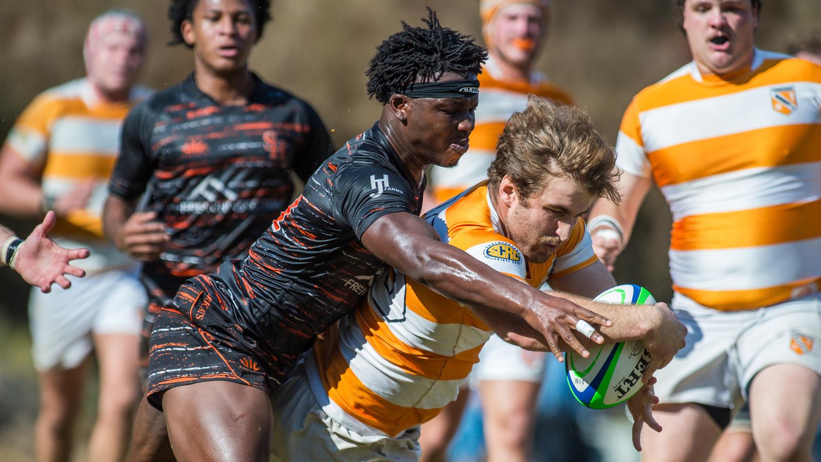 Tennessee vs Sam Houston State. Photos Will Fagan.