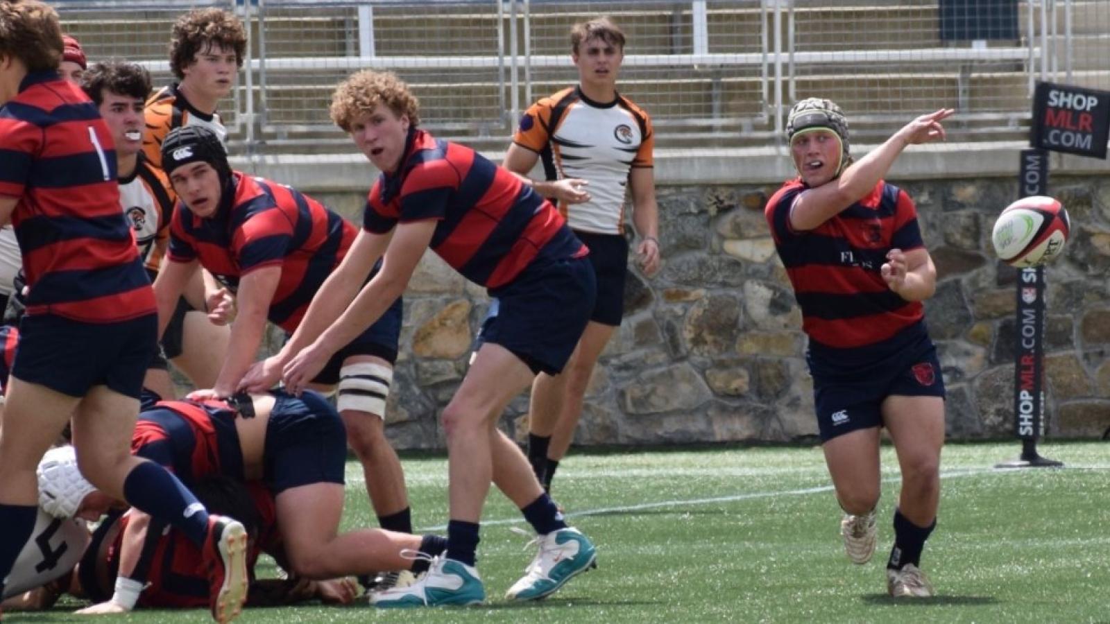 charlotte cardinals vs tigers 2025 ph mel fitzgerald 1