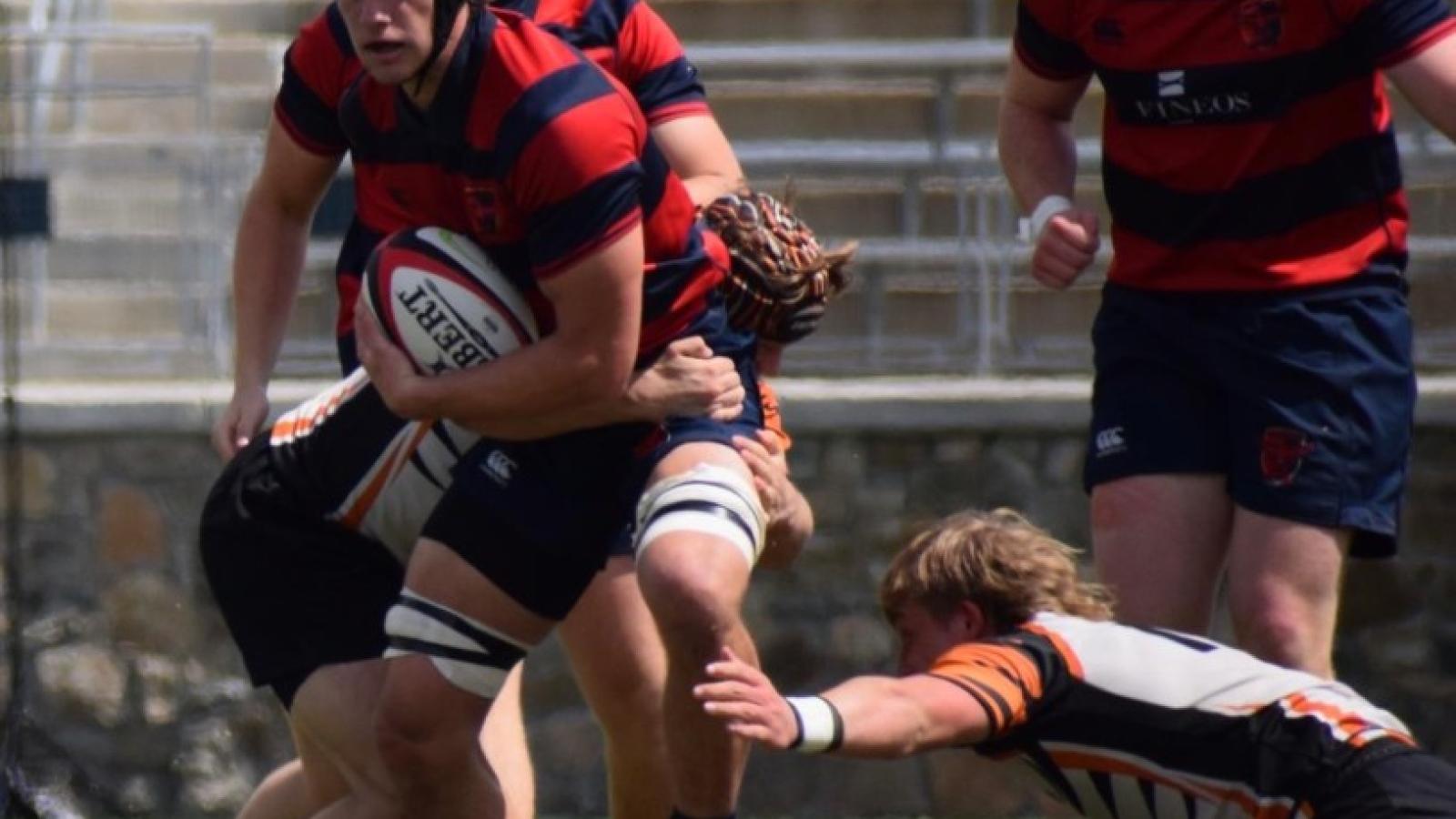 gallery photos charlotte cardinals vs tigers 2025 ph mel fitzgerald 2