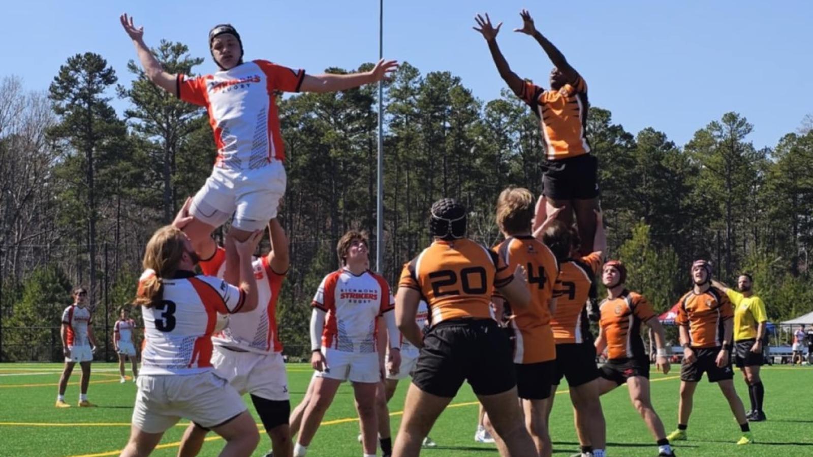 gallery photos charlotte tigers 2025 4943