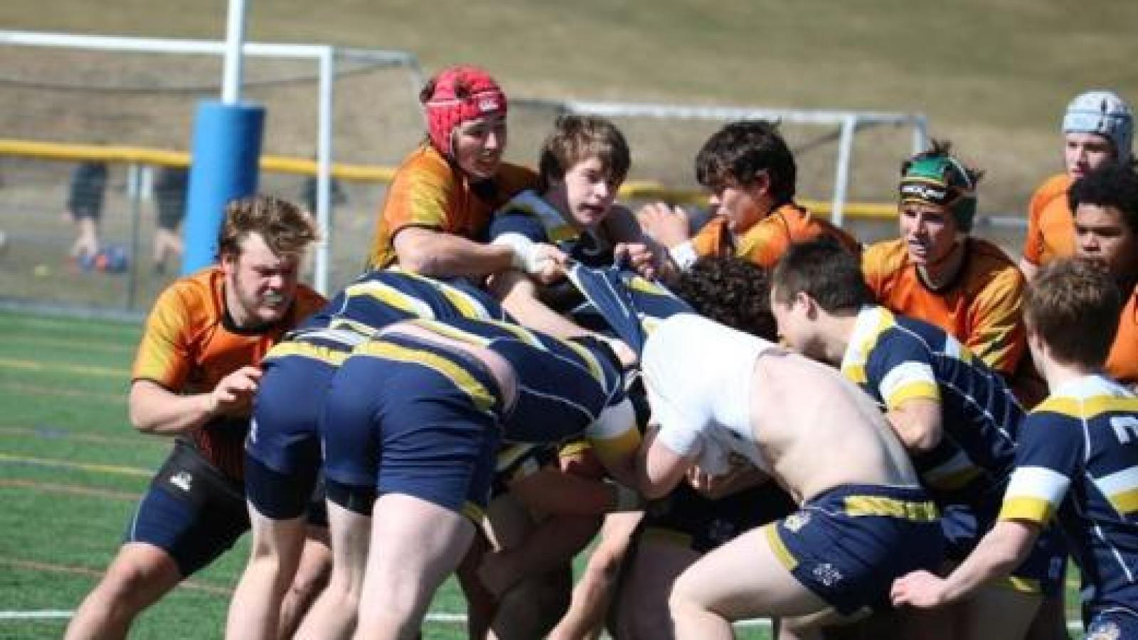 charlotte vs sihs marty lenihan 30762