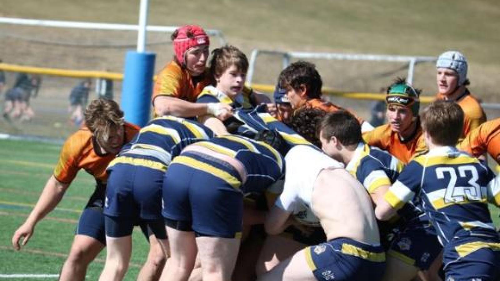 charlotte vs sihs marty lenihan 30763