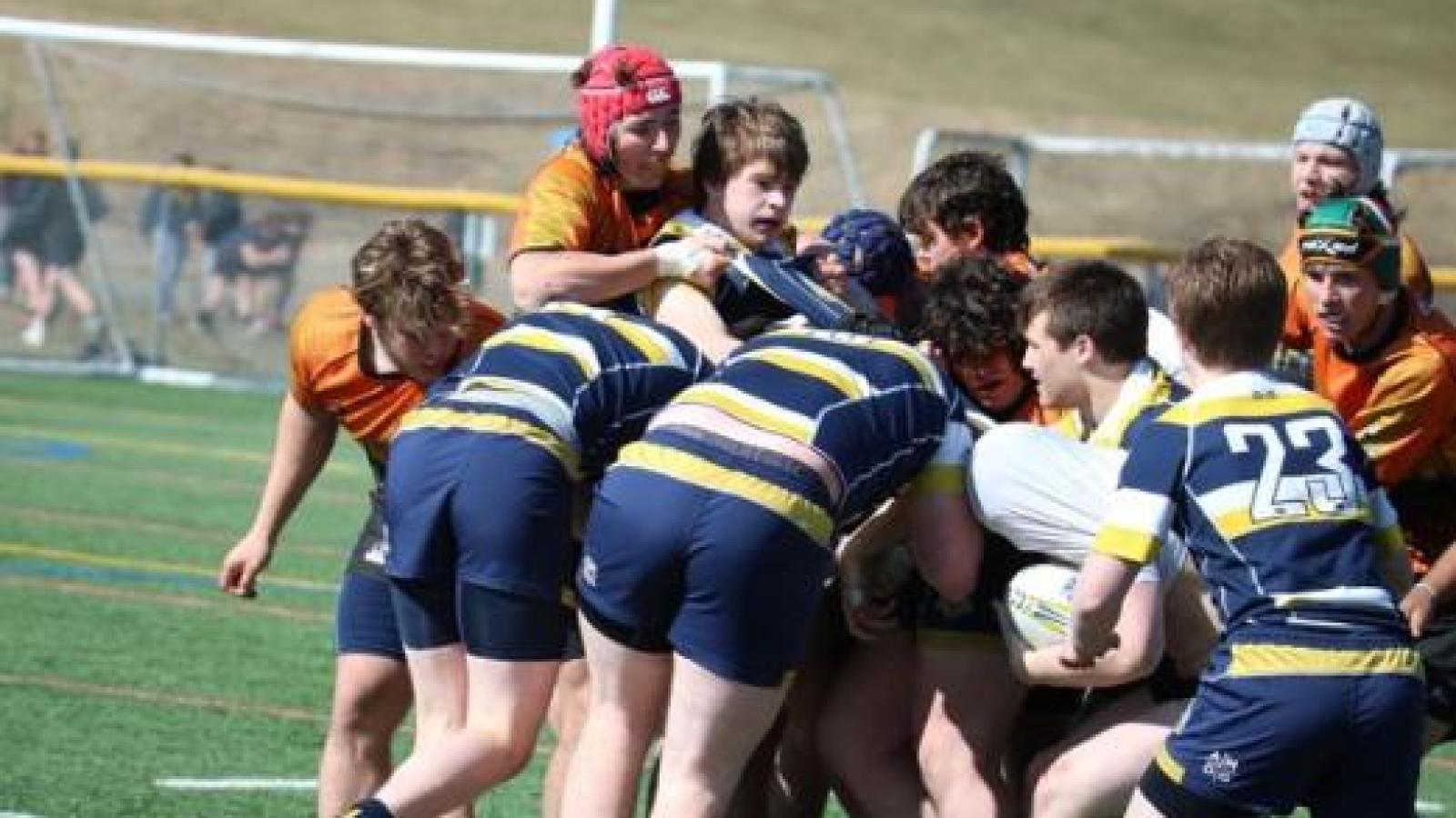 charlotte vs sihs marty lenihan 30764