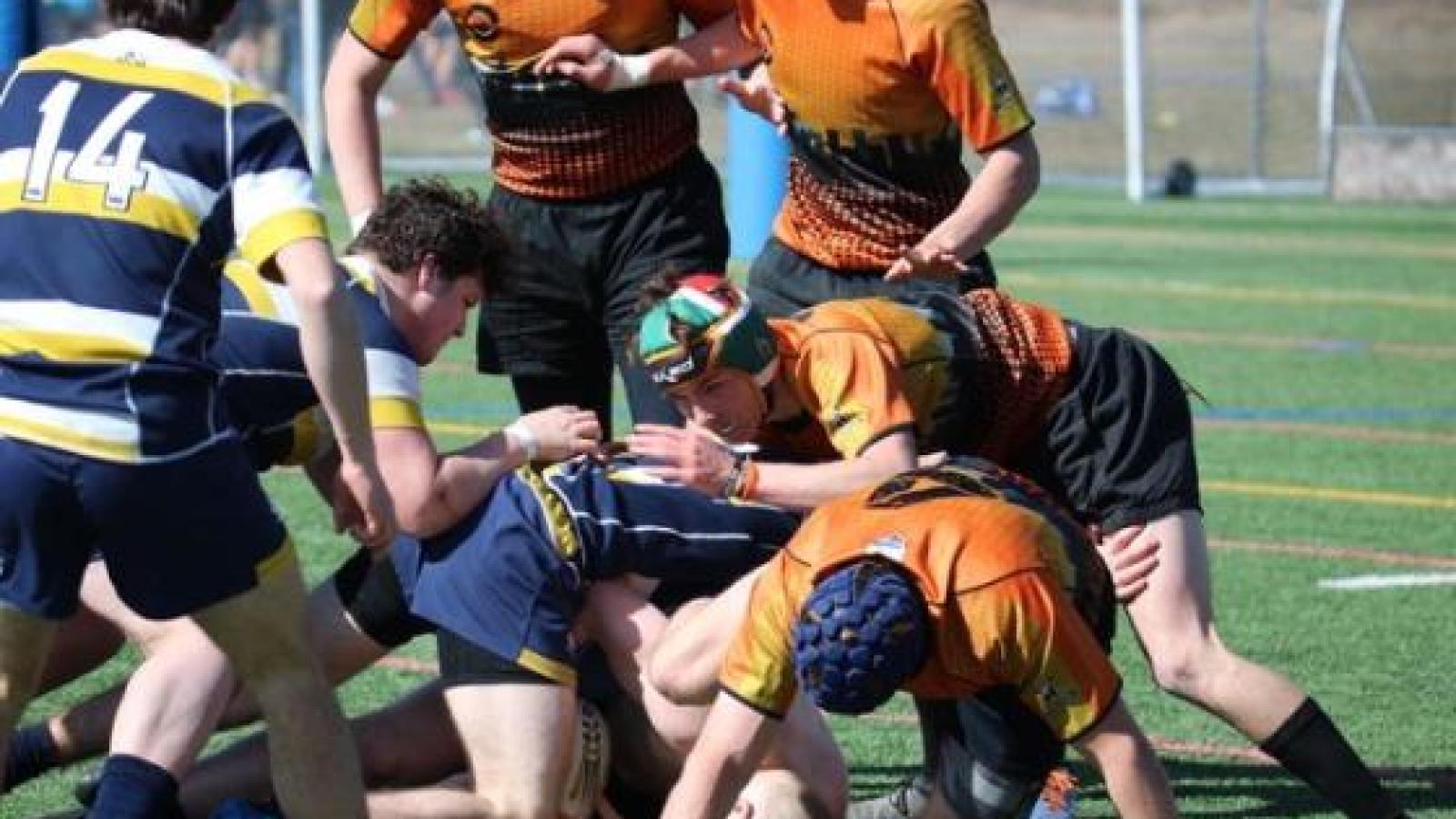 charlotte vs sihs marty lenihan 30769