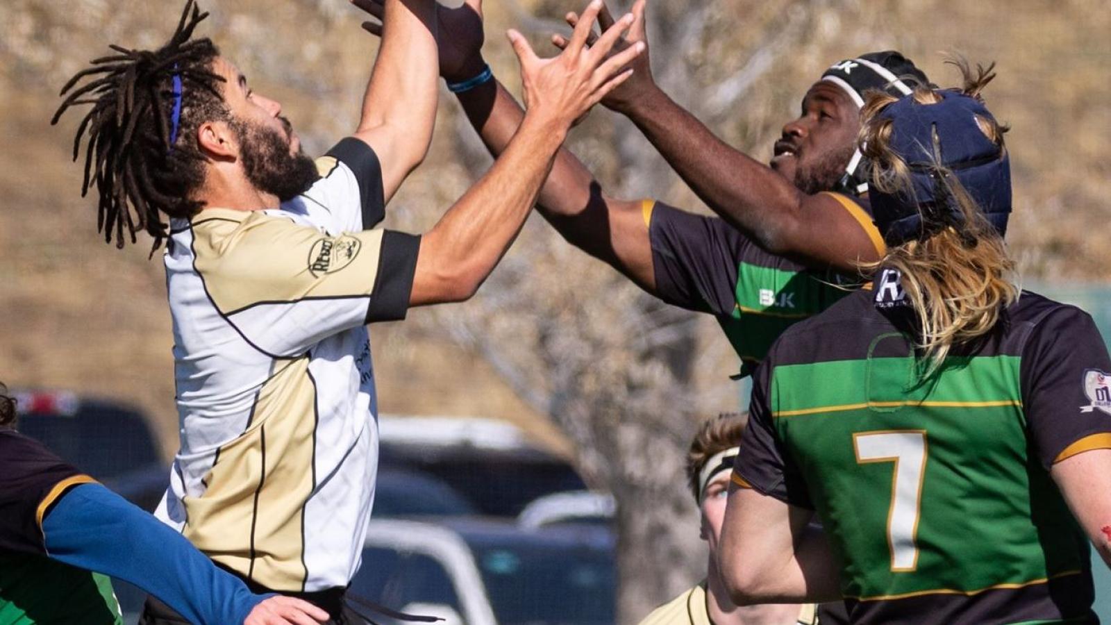 colorado vs csu 2019 desiree fornell miller 2