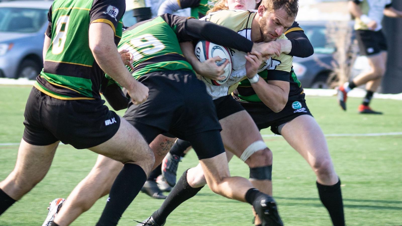 colorado vs csu 2019 desiree fornell miller 4