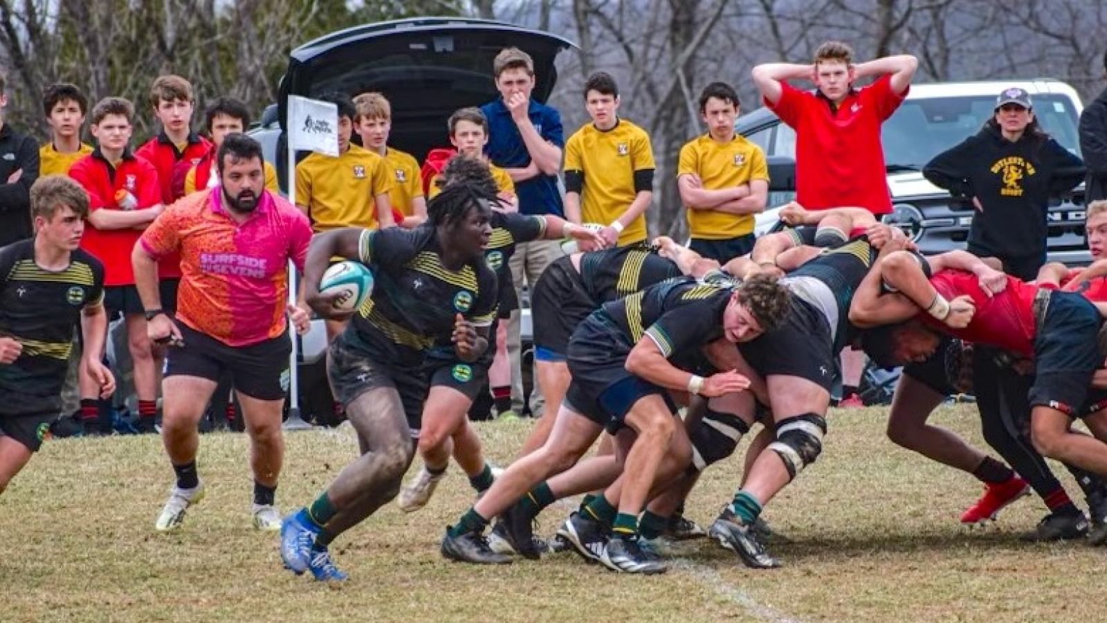 gallery photos doylestown 2025 2