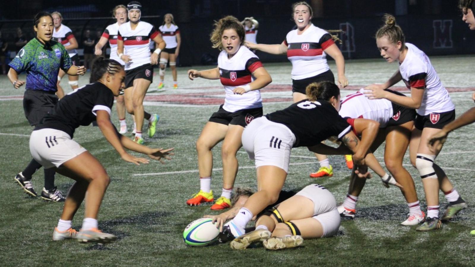 harvard defense 2023 alex goff