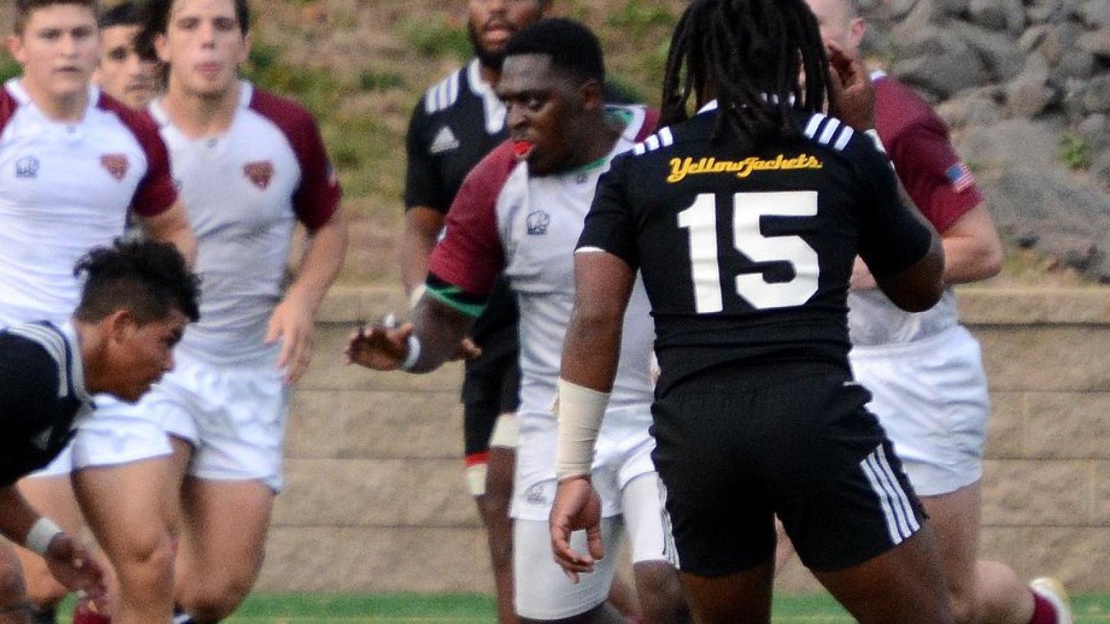 iona aic dube carol dallara