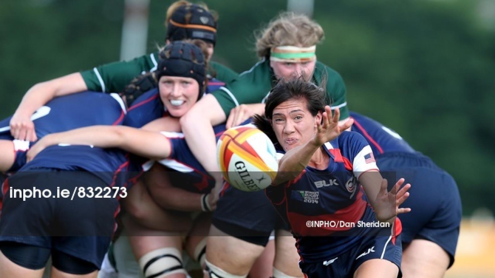 jossie tseng inphodan sheridan 00832273