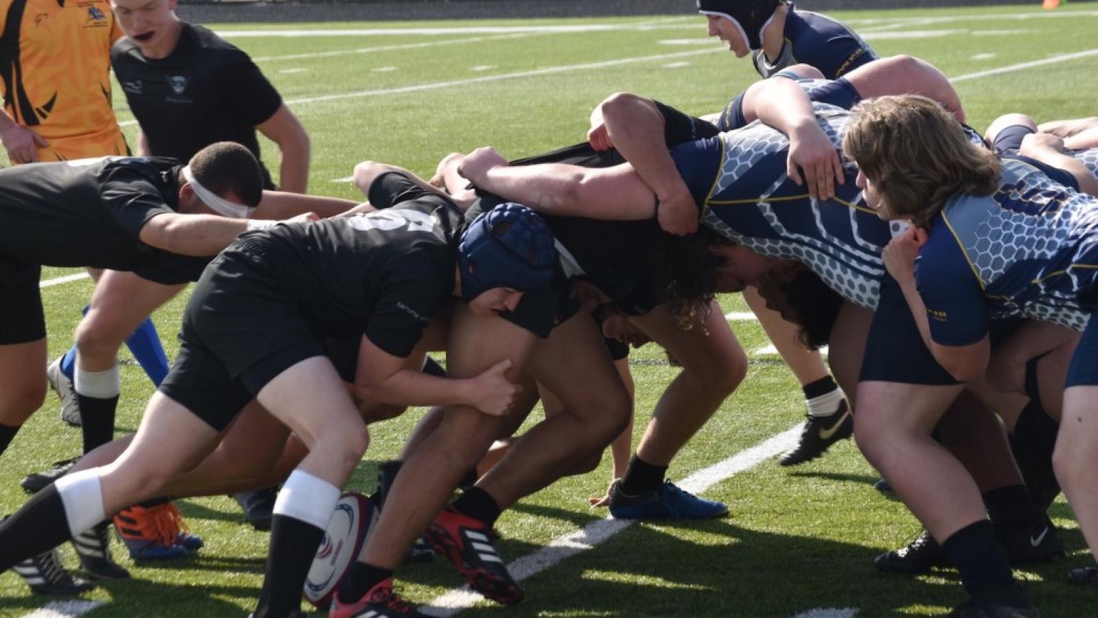 kingfishers scrum 2021