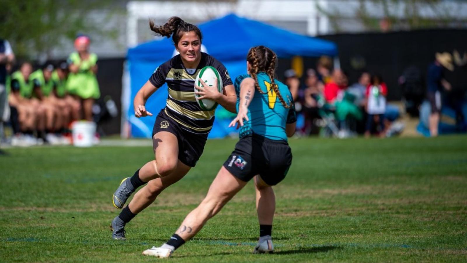 lai 2020 david barpal 103