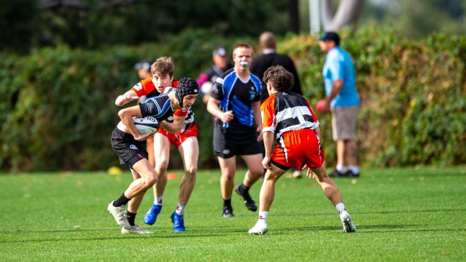 lai 2020 david barpal 111