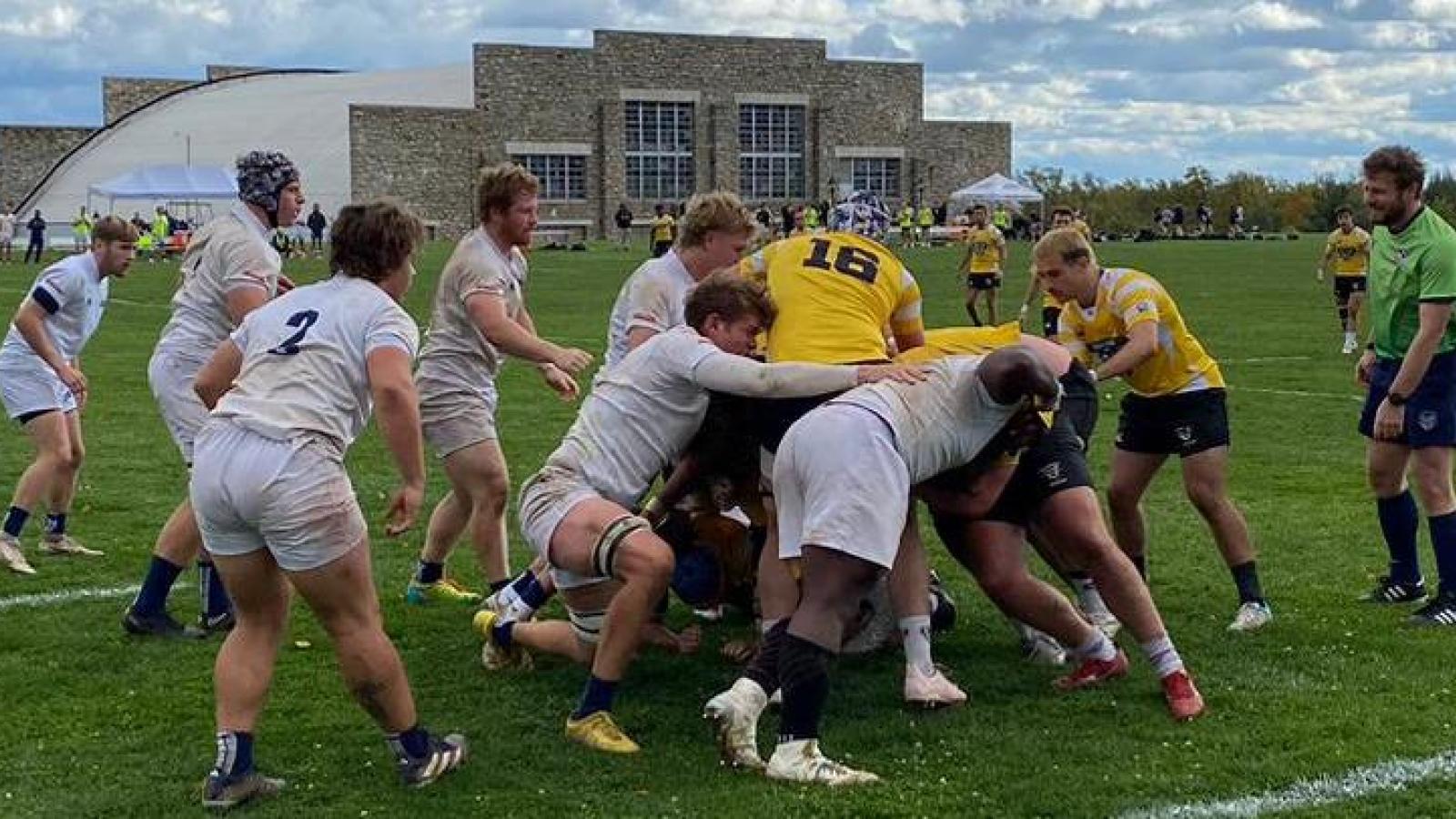 msm v sbu 2023 greg stelluti 2
