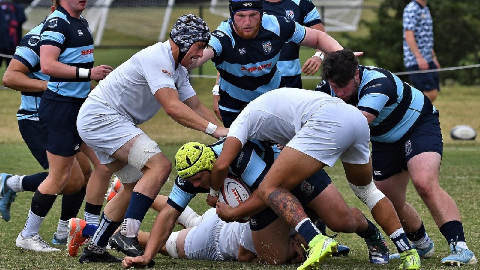 msm v umw 2025 ph dh 9141