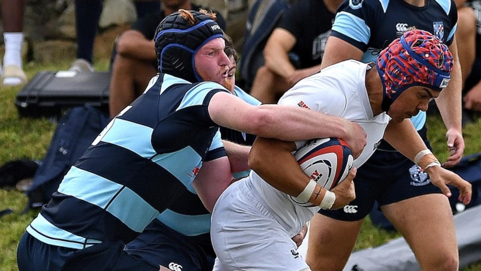 msm v umw 2025 ph dh 9191