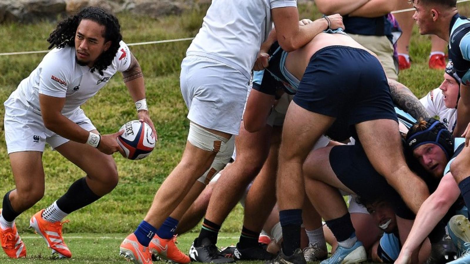 msm v umw 2025 ph dh 9205