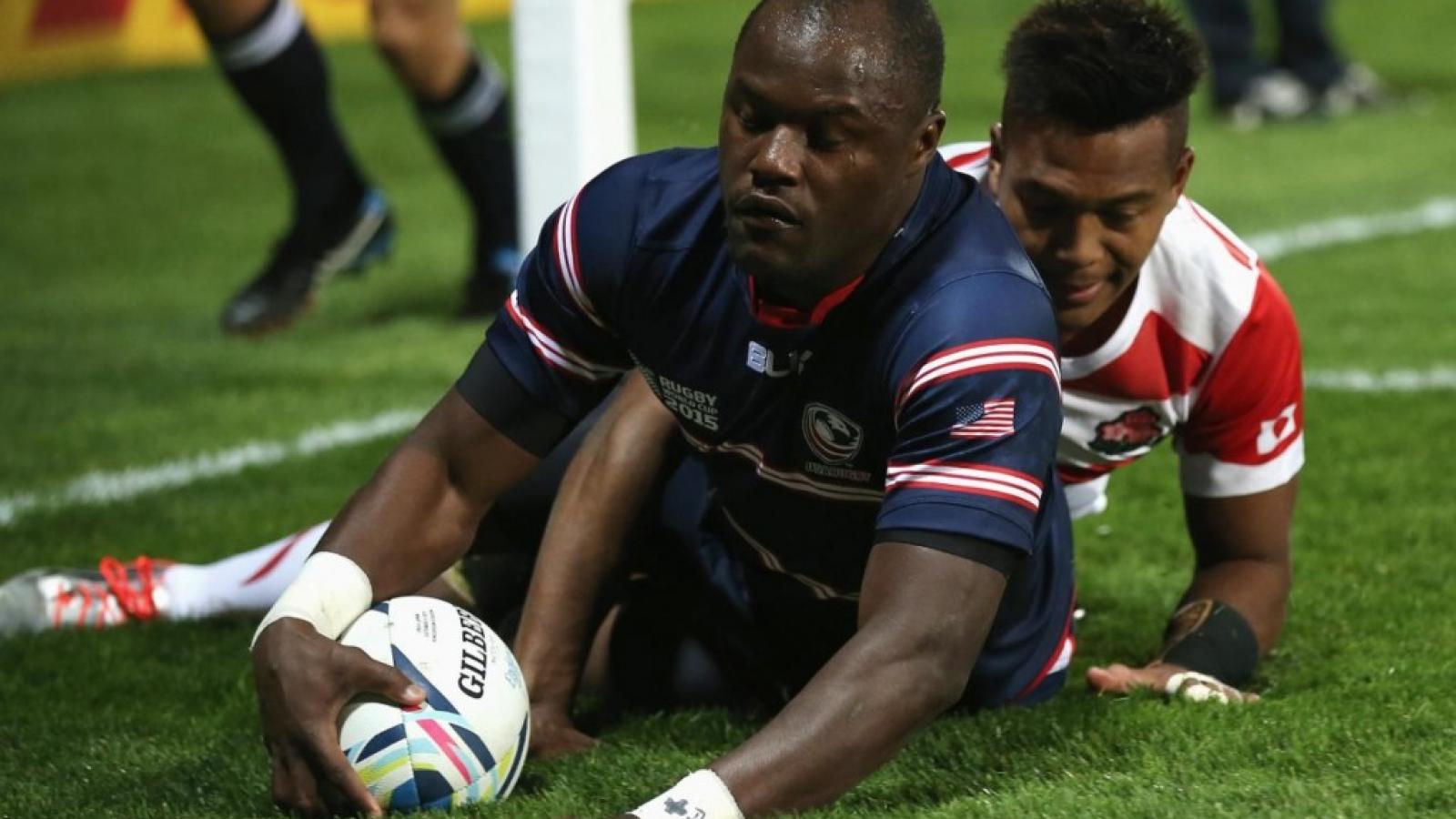 ngwenyascores2015rwc