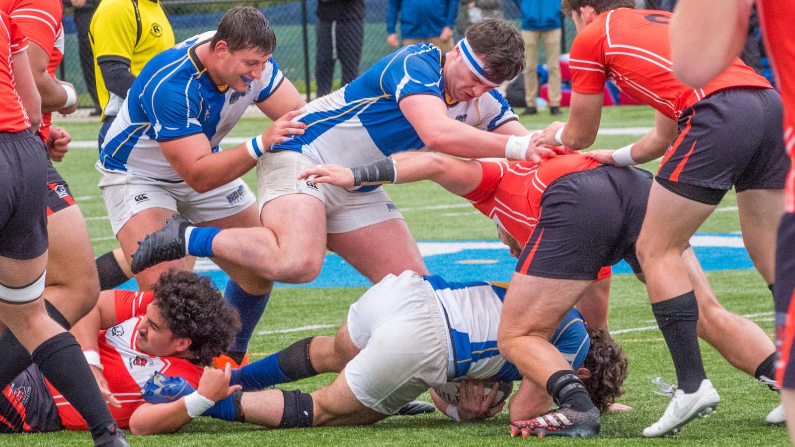 notre dame college vs davenport 2019 allison bradfield 2