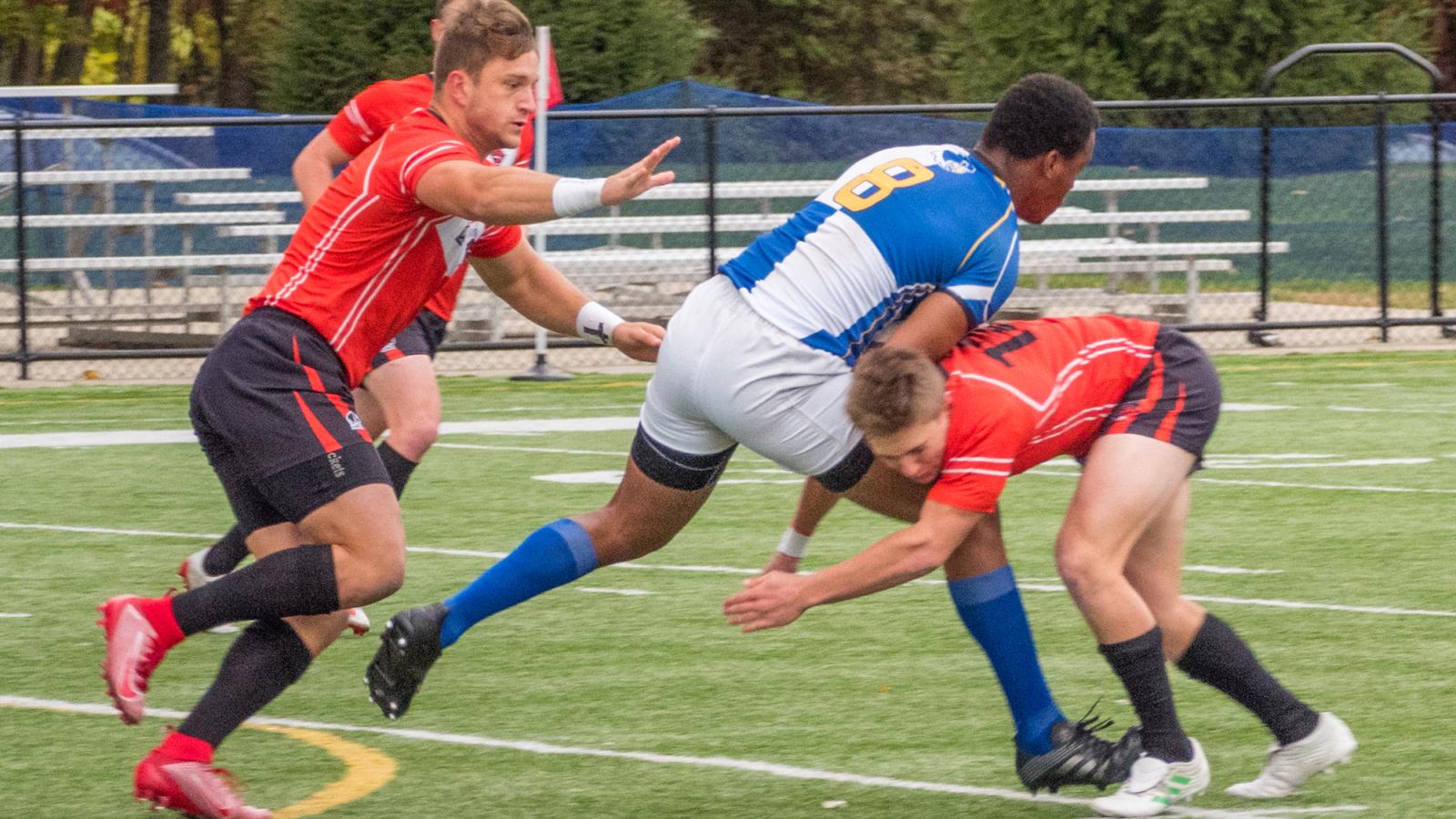 notre dame college vs davenport 2019 allison bradfield 3