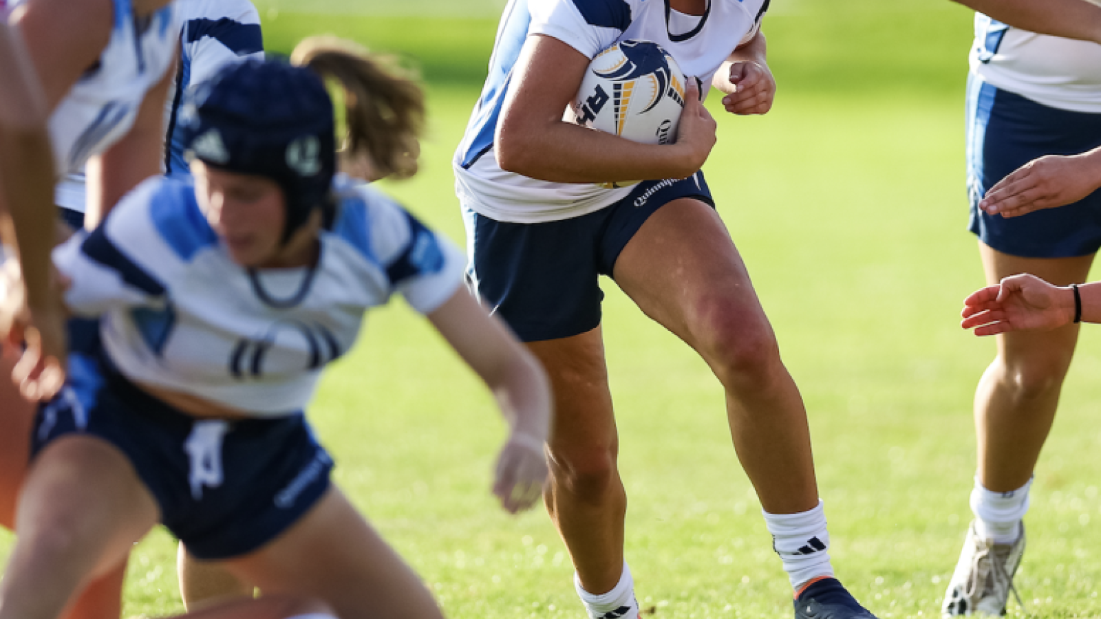 quinnipiac riva van der valk   photo rob rasmussen