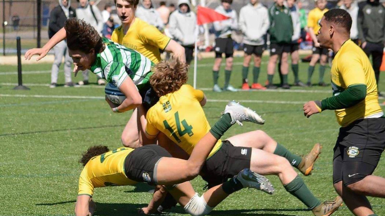 royal irish st eds at uk 2019 photo dave redden 2