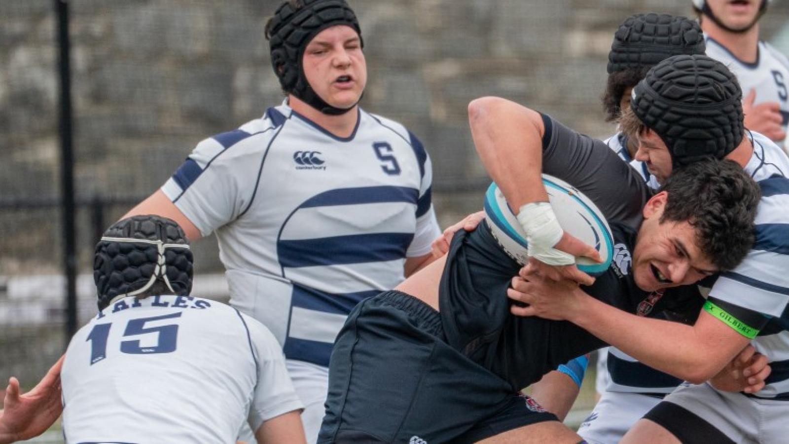 ryerugby v staples ph davis goodman 395