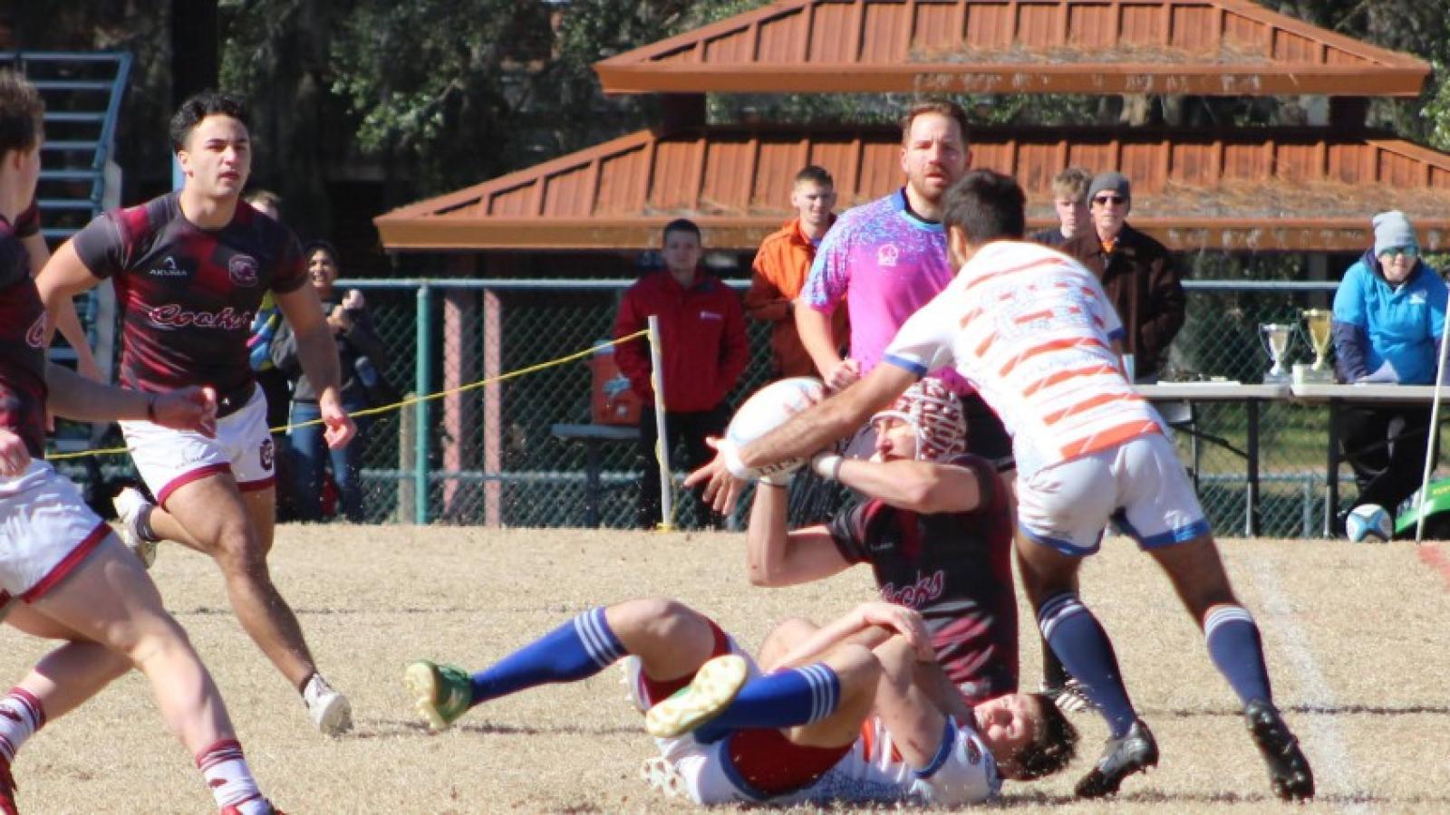 sunshine 7s 1716.cr2