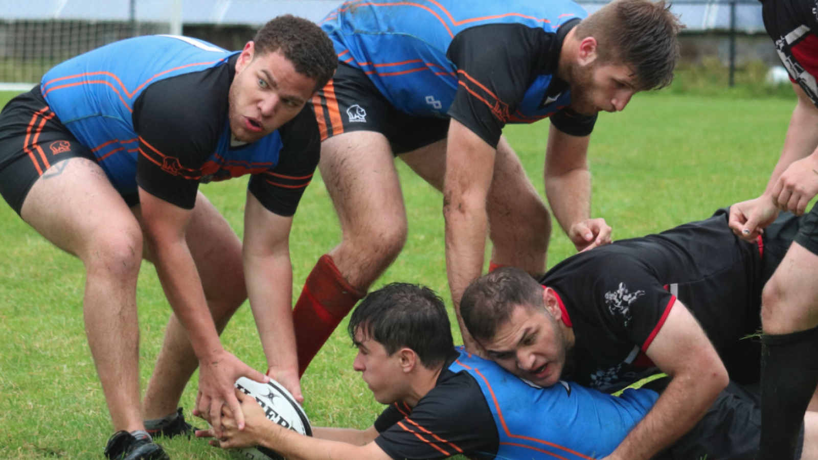 suny new paltz 2023 ryan design 3