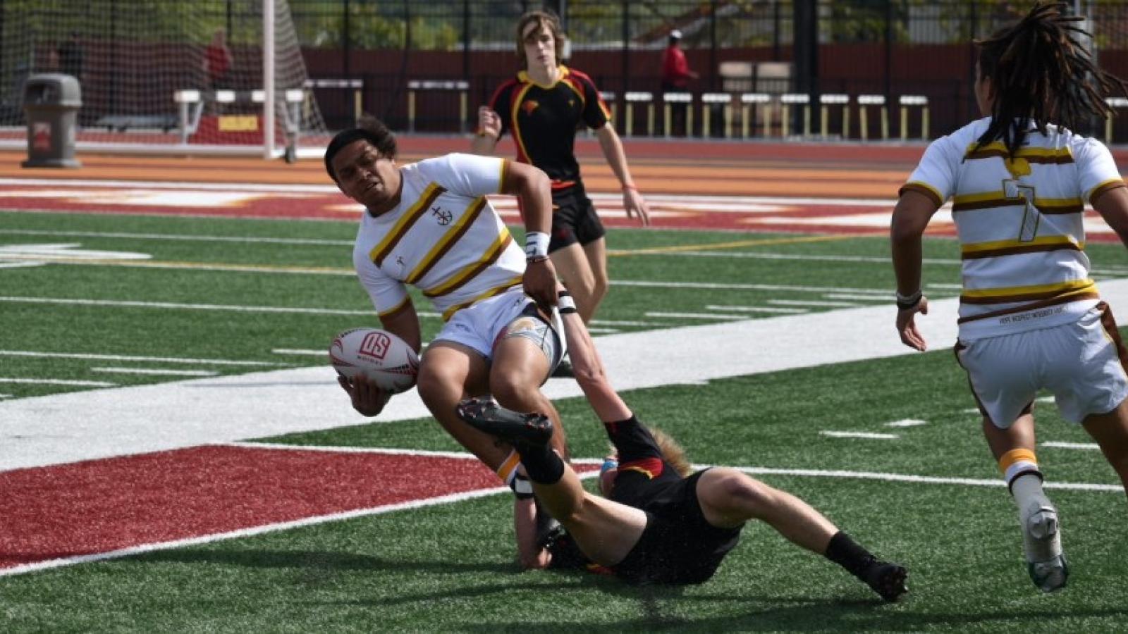 torrey pines vs st francis 2023 cal final 2