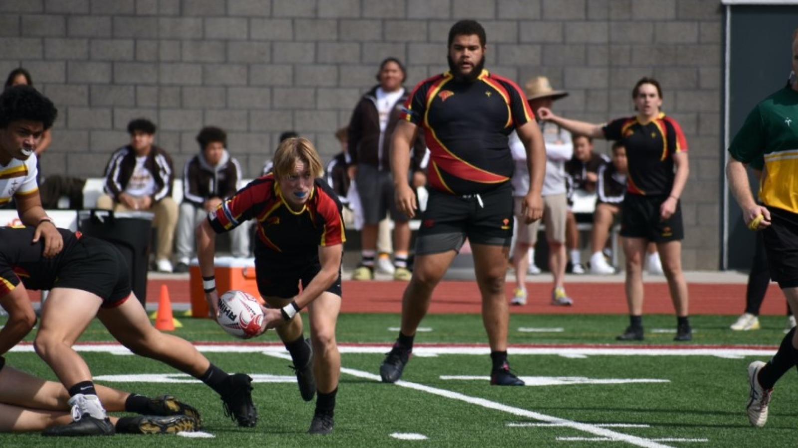 torrey pines vs st francis 2023 cal final 4