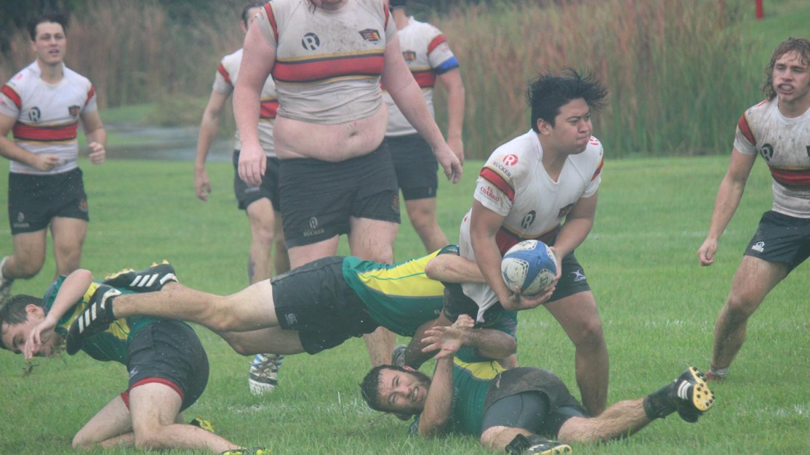 umst vs pitt 2019 mt rugby 3