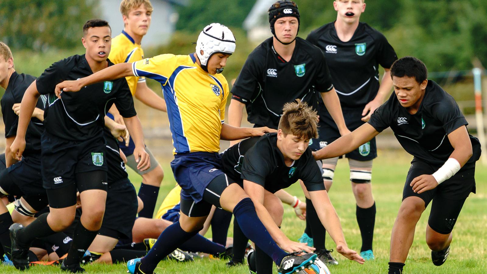 washington loggers 2019 1 dennis cairns