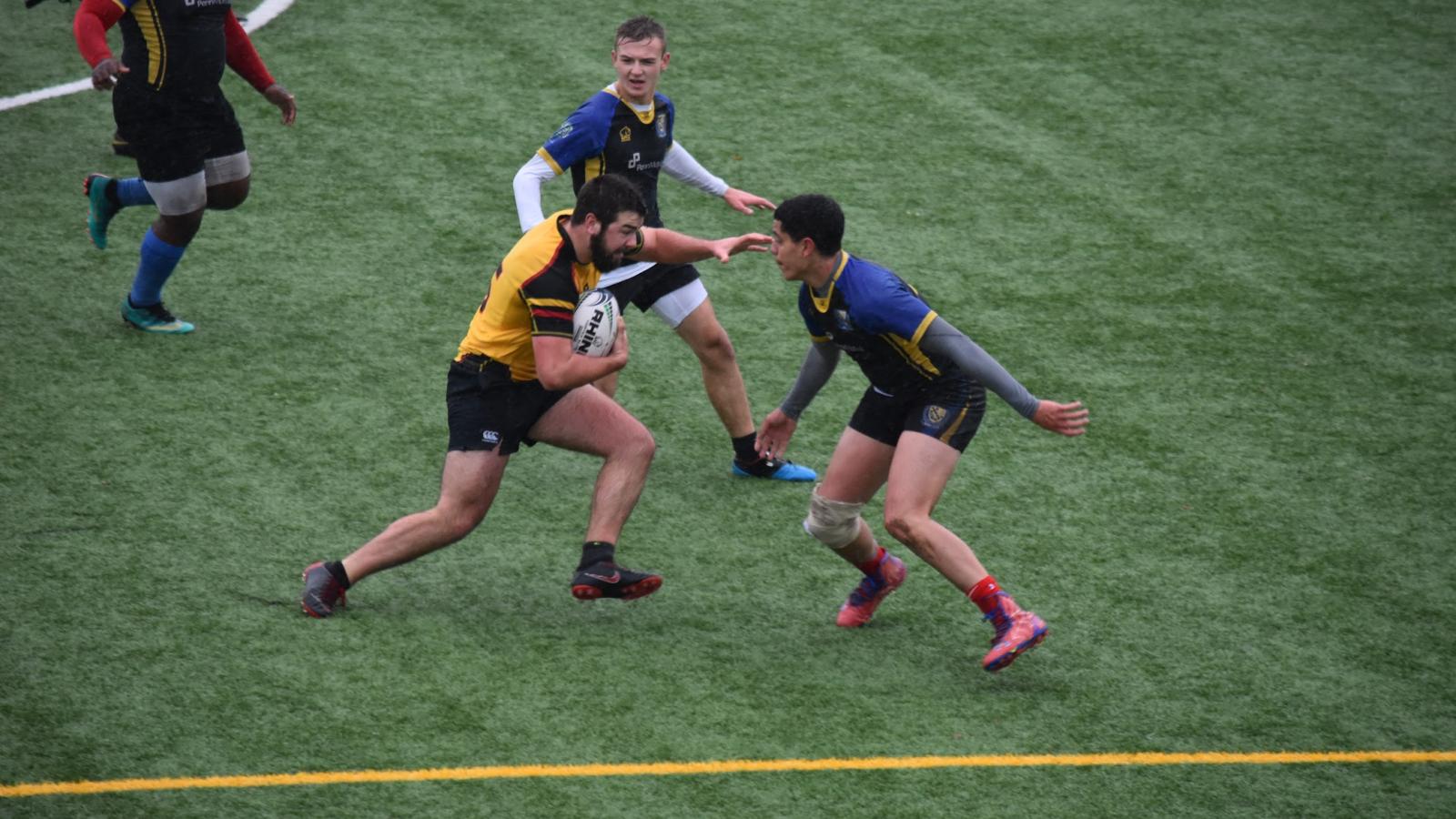 wentworth nscro dawn weinstein 2019