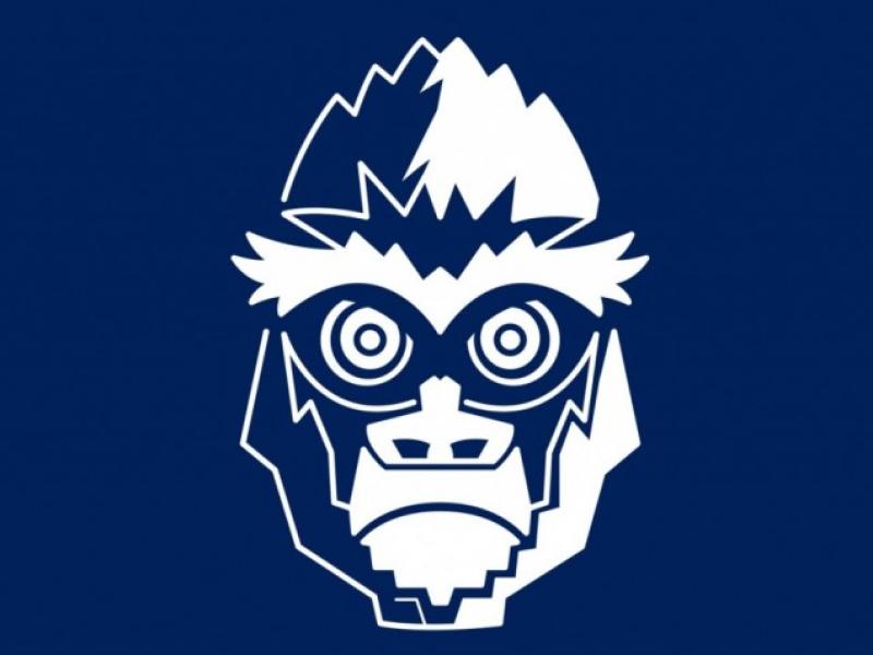 001 silverbacks rugby wide logo