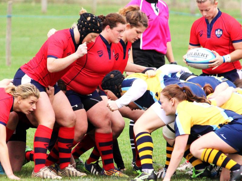 10733712 915695028464552 3615736761342562898 o 0