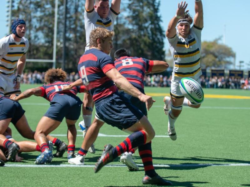 190330 st marys at cal barpal 0947