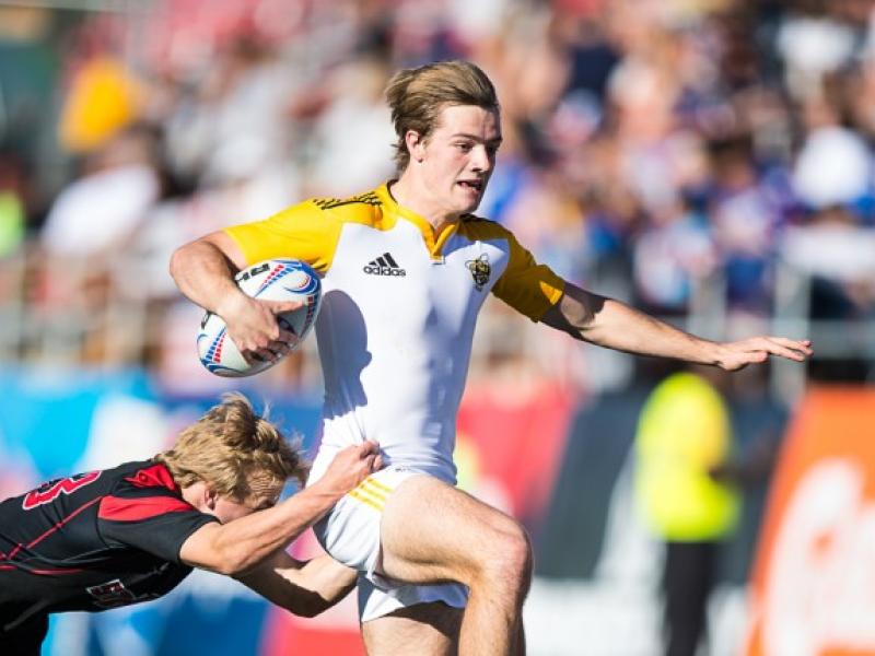 aicvasu lvi 2015 barpal 1