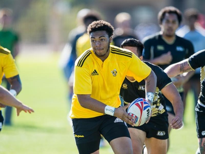 aicvlindenwoodlvi barpal 9