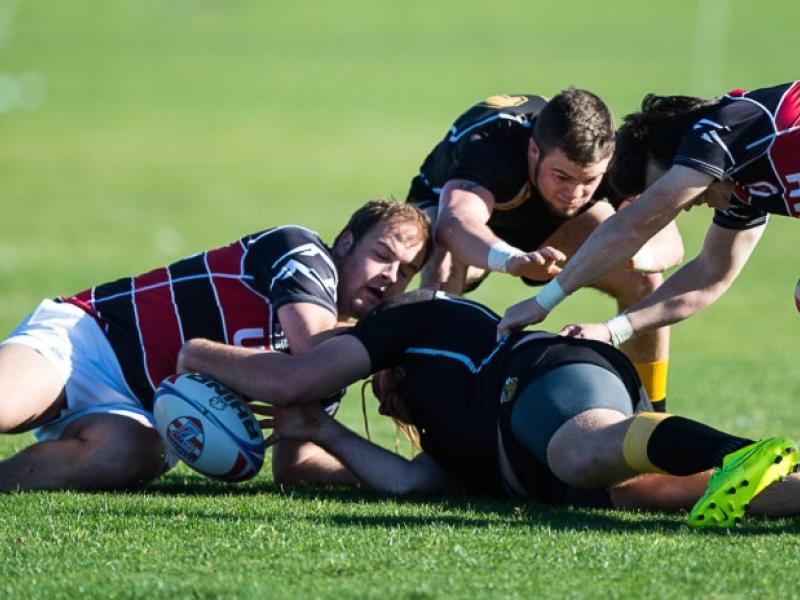 aicvutahlvi barpal 9