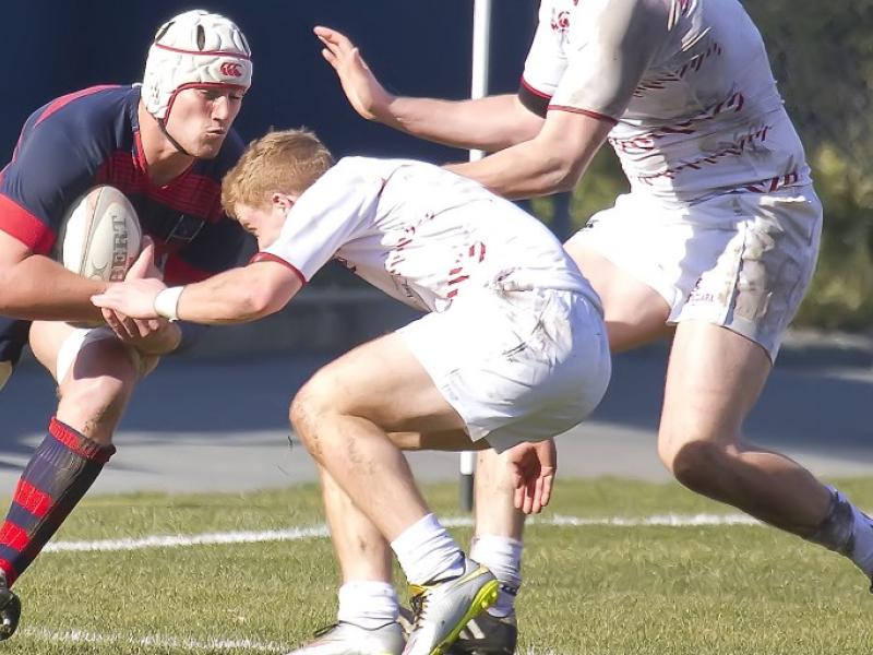 alecbarton smcc 2017 geib 1