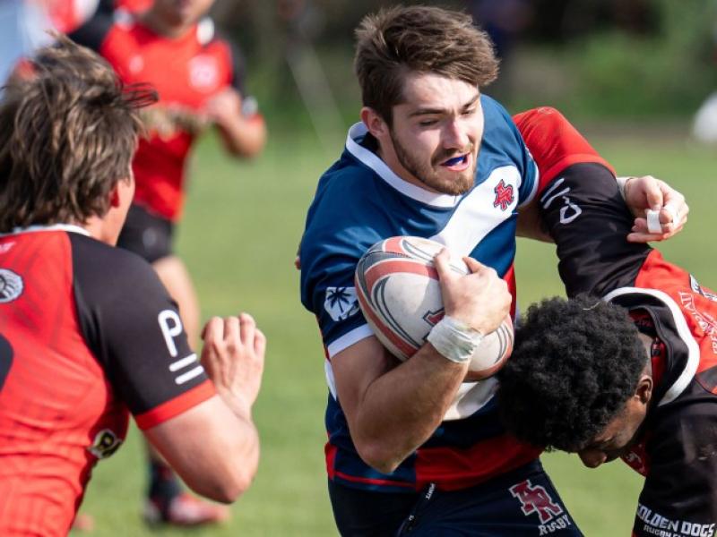 arc haydn williams frank fanara 905441