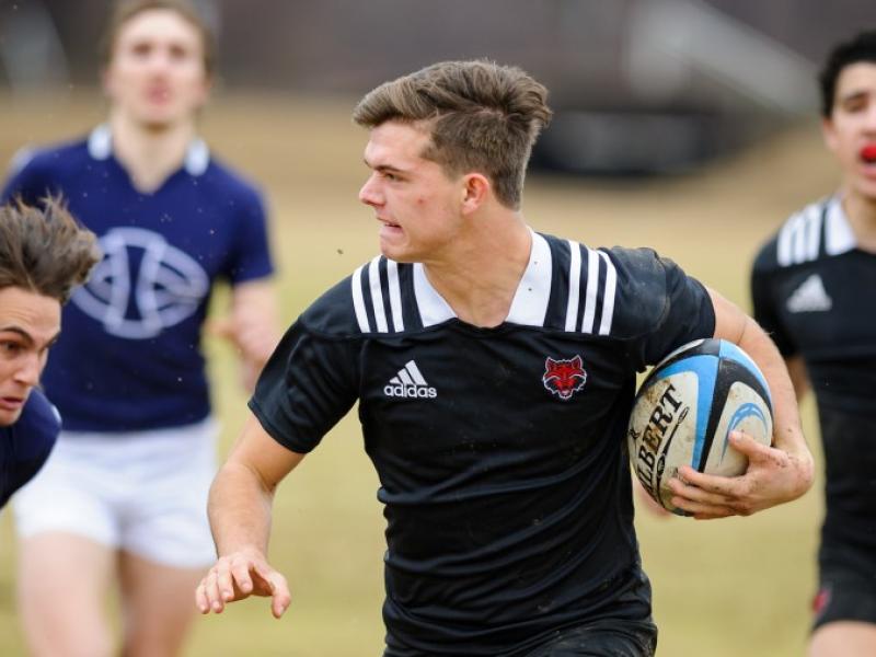 ark state brandon rokela