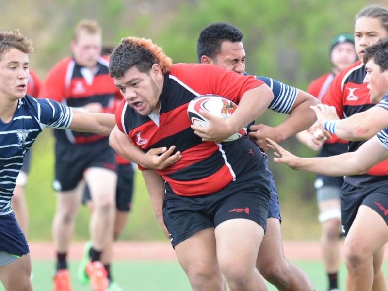 backbayvredmountain kathy klute nelson 1