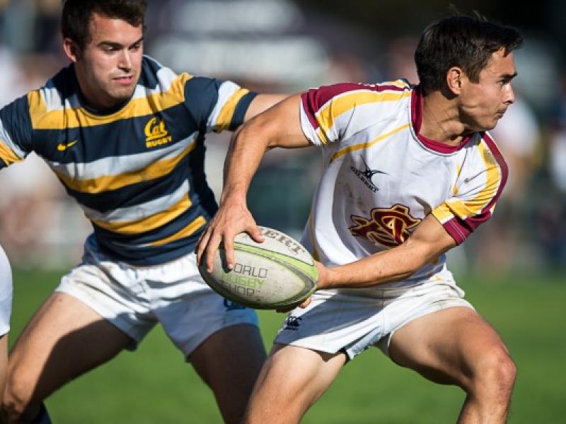 battleinbay arizonastate 2014 barpal 6