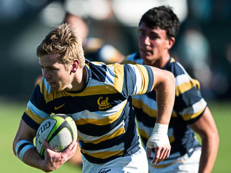 bibcal 2014 barpal 3 b